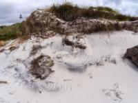 Dunkles Wellenmuster im Sand einer bewachsenen Dünenflanke - Dueodde Dünen